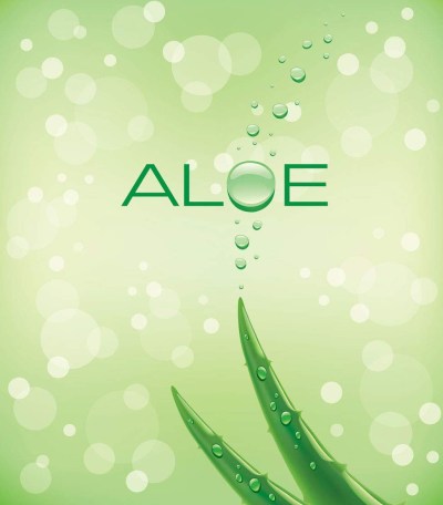 Cleam Mist Travel Size 8 ml-4 Aloe